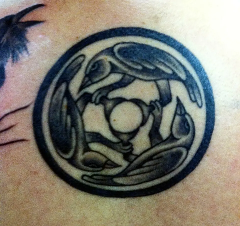 Celtic-style circle tattoo of interlocking ravens