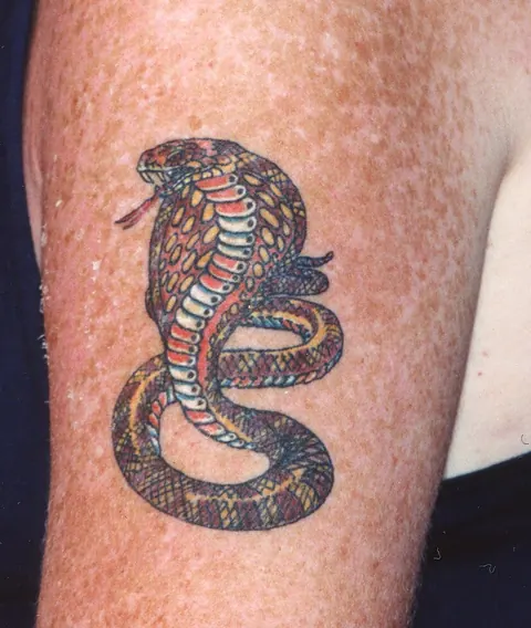American traditional cobra tattoo on the upper arm in red, yellow and blue
